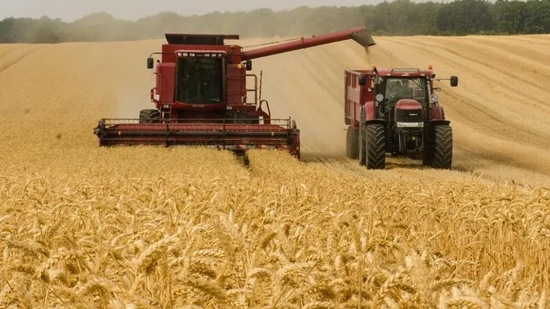 Об угрозе "скрытого голода" на планете предупредили ученые