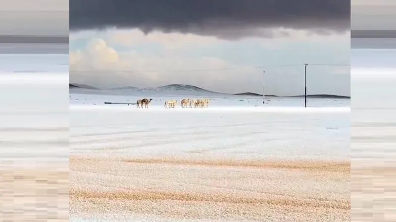 Редкое природное явление наблюдают в Саудовской Аравии