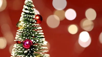новогодняя елка, фото - Новости Zakon.kz от 19.12.2025 10:27