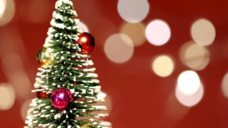 Дешевая елка – повод задуматься: обращение полиции к казахстанцам