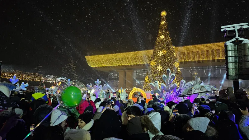 МЧС напомнило казахстанцам, как безопасно украсить новогоднюю елку