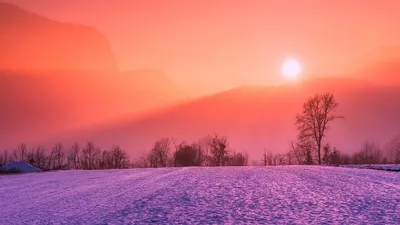 штормовое предупреждение, фото - Новости Zakon.kz от 21.12.2025 16:06