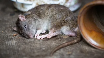 Метро Нью-Йорка, фото - Новости Zakon.kz от 22.12.2025 02:33