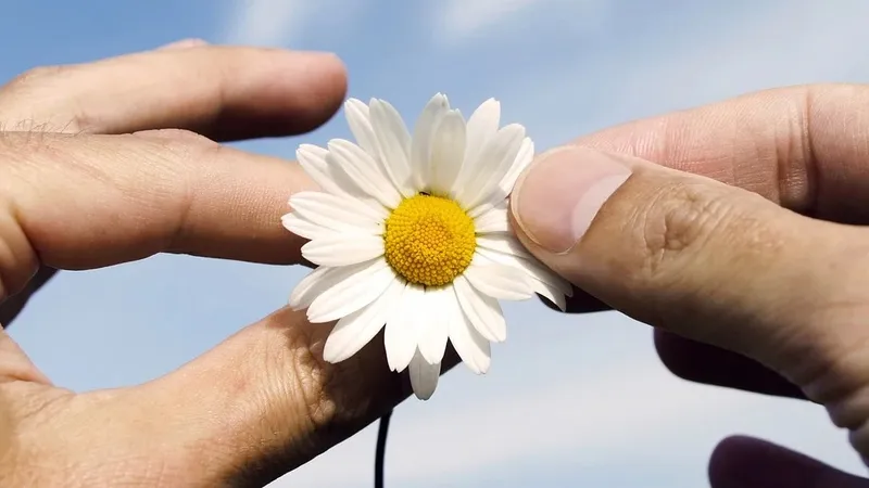 Гороскоп на 22 декабря: не спешите с выводами