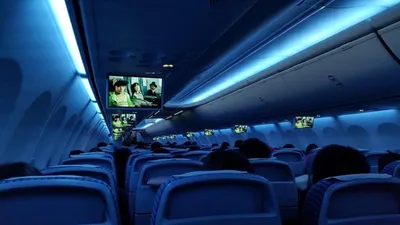 британцы пронесли на борт самолета тело бабушки, фото - Новости Zakon.kz от 21.12.2025 09:17