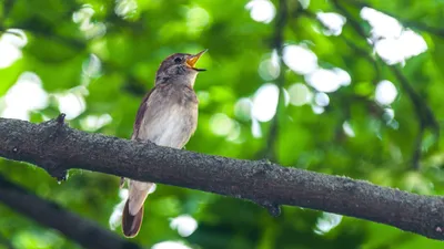 , фото - Новости Zakon.kz от 25.12.2025 14:39