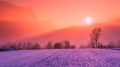 деревья, солнце, фото - Новости Zakon.kz от 22.12.2025 15:41