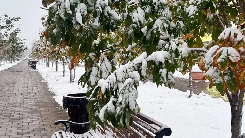 В Казахстане побит температурный рекорд, не обновляемый 54 года