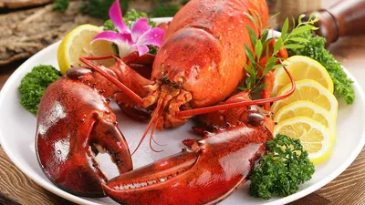 , фото - Новости Zakon.kz от 25.12.2025 13:30