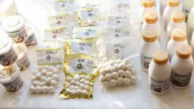 производство сельхозпродукции в области Жетысу, фото - Новости Zakon.kz от 23.12.2025 20:53