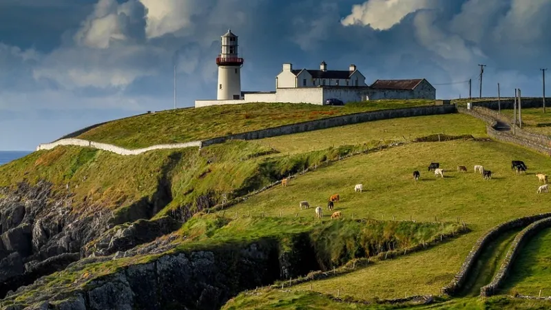 Освобождения от налога на наследство добились митингами фермеры Британии