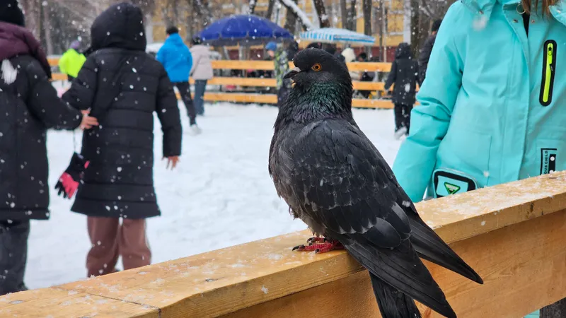 2026 жылғы 1 қаңтарға арналған ауа райы болжамы: Астанада –12°С, Алматы мен Шымкентте +4°С-қа дейін жылы