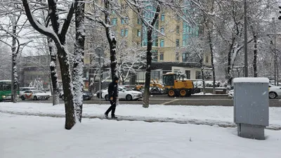 Снег, снегопад, зима, холод, мороз, заморозки, фото - Новости Zakon.kz от 09.01.2026 02:25