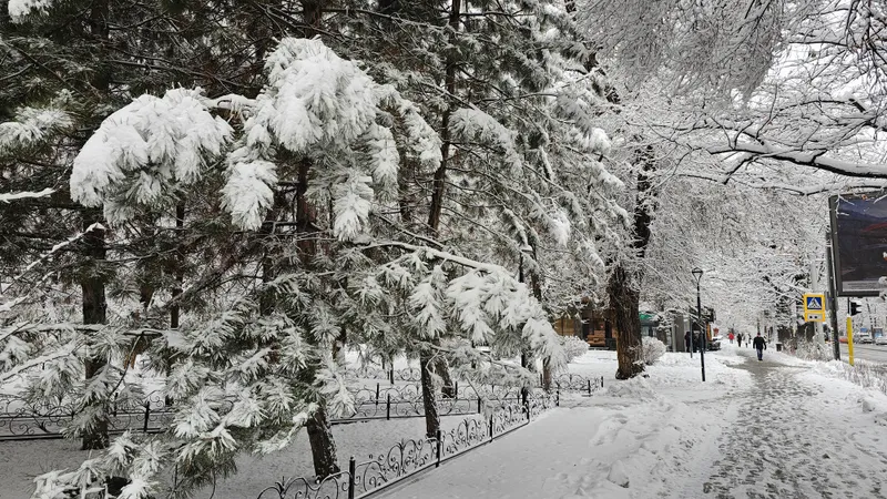На Алматы надвигаются осадки, в Астане ожидаются сильные морозы, а в Шымкенте будет тепло до +16°С