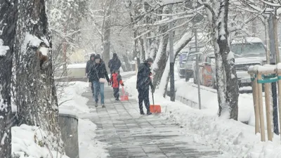 Снег, снегопад, зима, холод, мороз, заморозки, фото - Новости Zakon.kz от 29.12.2025 17:20