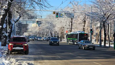 Общественный транспорт в Алматы, автобусы в Алматы, автобусы Алматы, общественный транспорт Алматы , фото - Новости Zakon.kz от 20.03.2026 16:30