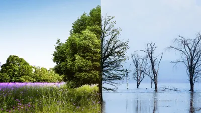 Погода, смена времен года, фото - Новости Zakon.kz от 25.12.2025 04:30