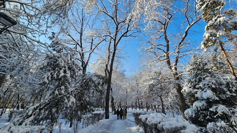 Синоптиктер ескертеді: 3–5 наурызда елде жел күшейеді және тұман түседі