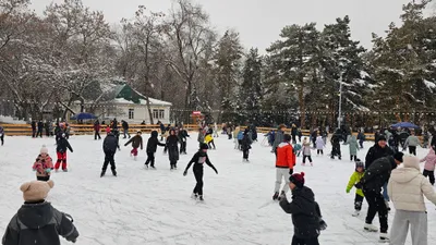 Пенсионер из Семея катается на конках, фото - Новости Zakon.kz от 25.01.2026 02:25
