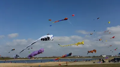 воздушные змеи запретили в Пакистане , фото - Новости Zakon.kz от 25.12.2025 19:53