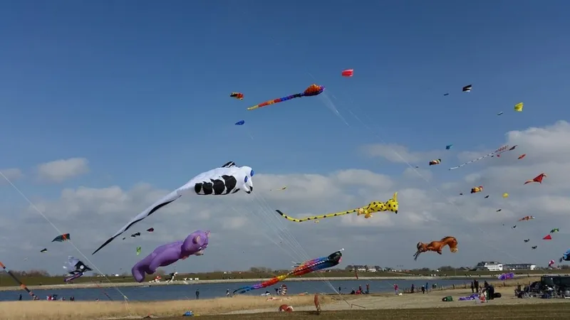 Народную забаву признали опасной: в Пакистане можно попасть в тюрьму из-за воздушного змея