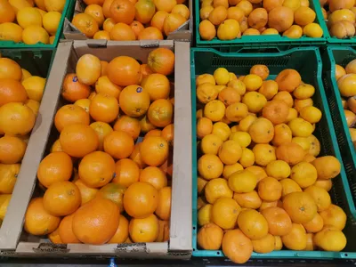 Оранжевая радость: как выбрать вкусные мандарины и из каких стран их везут в Казахстан