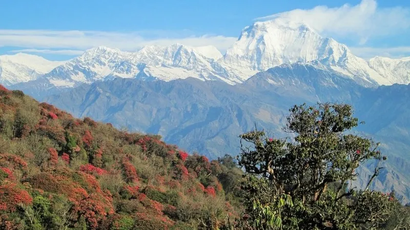 Дороги и туннели как фактор силы: Индия готовится к кризису после вызова Китая