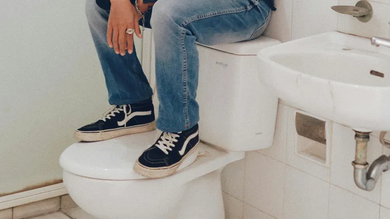 В США участились нападения на людей крыс, выпрыгивающих из унитазов