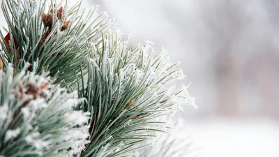 , фото - Новости Zakon.kz от 26.12.2025 16:20