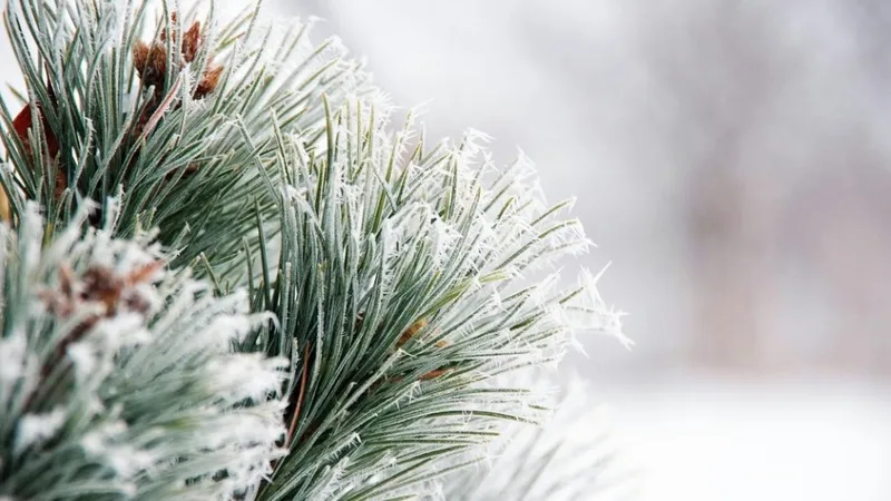 Мороз, метель и дожди: штормовое предупреждение объявили в РК на пятницу