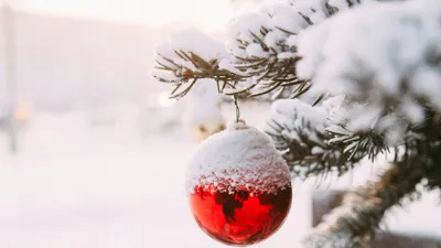 Прогноз на новогоднюю ночь, фото - Новости Zakon.kz от 27.12.2025 09:05