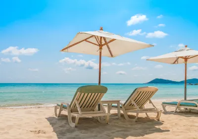 Лежаки на пляже, фото - Новости Zakon.kz от 26.12.2025 19:30