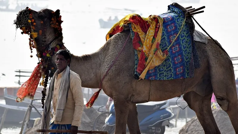 Названы главные тренды туризма 2026 года
