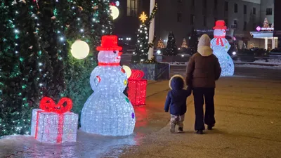 Новый год, новогодний праздник, празднование, празднования, новогодние каникулы, зимние каникулы, новогодние выходные, новогодние праздники, новогодние украшения, новогоднее оформление города, новогодние декорации, новогодняя елка, сурет - Zakon.kz жаңалық 03.01.2026 13:54