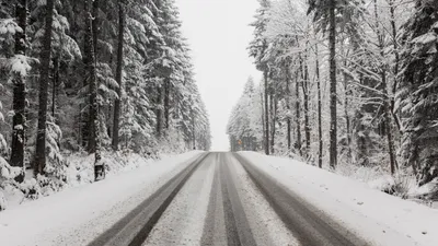 ДТП, Япония, авария, жертвы, фото - Новости Zakon.kz от 27.12.2025 11:30