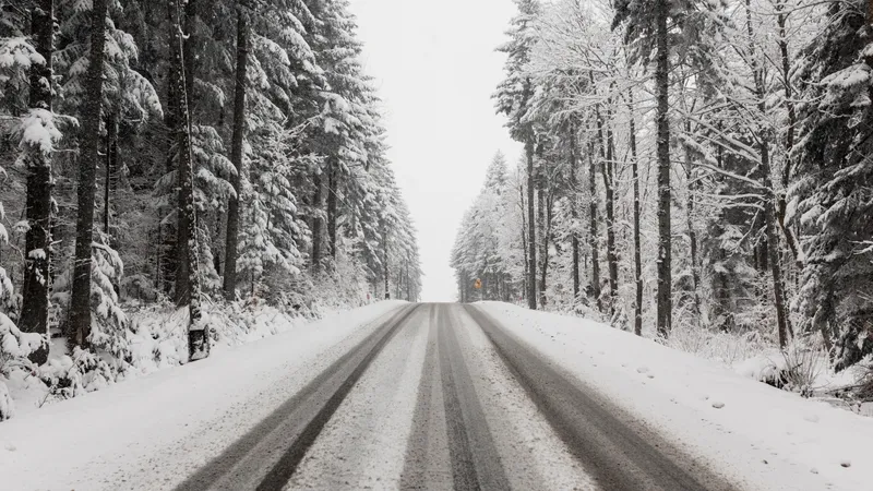 Трагедия на автомагистрали в Японии: цепная авария привела к возгоранию автомобилей