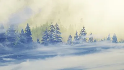 штормовое предупреждение, фото - Новости Zakon.kz от 27.12.2025 16:48