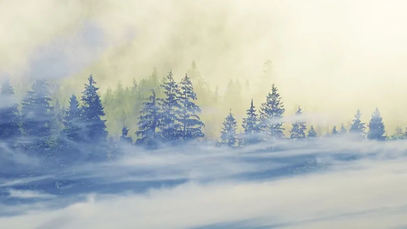 Туман, метель и дождь: штормовое предупреждение объявили в Казахстане на воскресенье