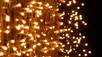 гирлянды, новый год, украшение дома, эпилепсия, фото - Новости Zakon.kz от 27.12.2025 11:58