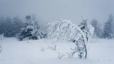 штормовое предупреждение, фото - Новости Zakon.kz от 28.12.2025 15:35