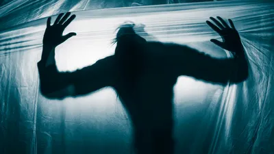 Тень, силуэт, свет, фото - Новости Zakon.kz от 29.12.2025 04:59