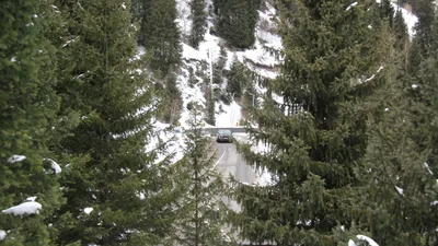 , фото - Новости Zakon.kz от 02.01.2026 12:10