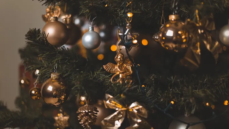 Жительница Косшы через соцсети купила красивую елку, но стала жертвой мошенников