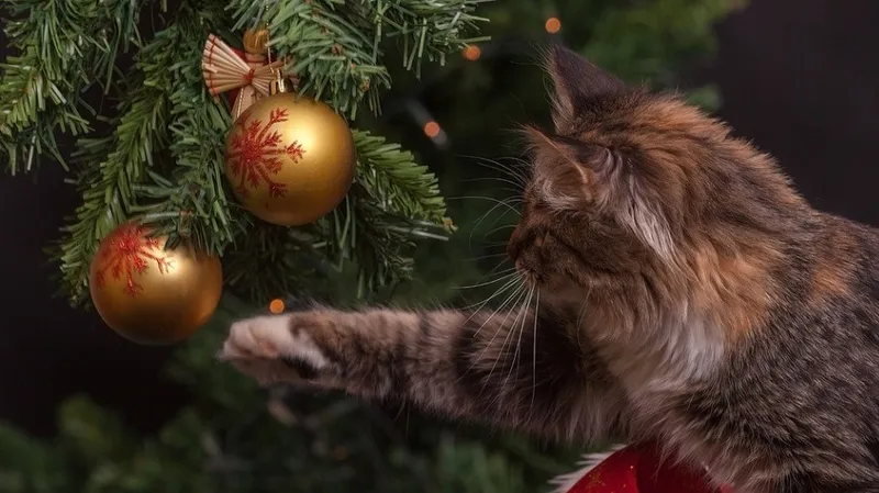 Праздник без ЧП: спасатели дали советы казахстанцам к Новому году