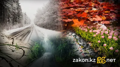 Курортная осень и теплая зима: какие были аномалии погоды в 2025 году в Казахстане