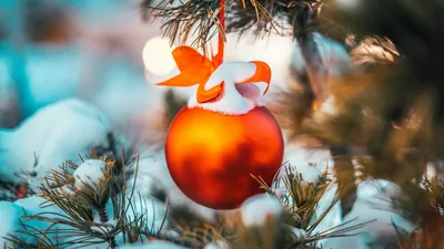ель, игрушка, снег, фото - Новости Zakon.kz от 30.12.2025 16:27
