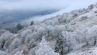 природа зимой, фото - Новости Zakon.kz от 31.12.2025 16:05