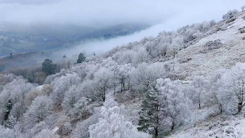 Опасные явления в первый день года: что ждать от погоды 1 января