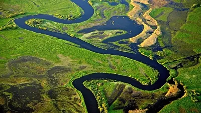 амазония, фото - Новости Zakon.kz от 31.12.2025 13:46