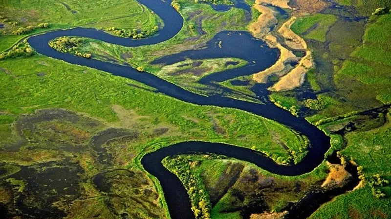 Главный лес планеты переходит в "гипертропический климат": ученые бьют тревогу